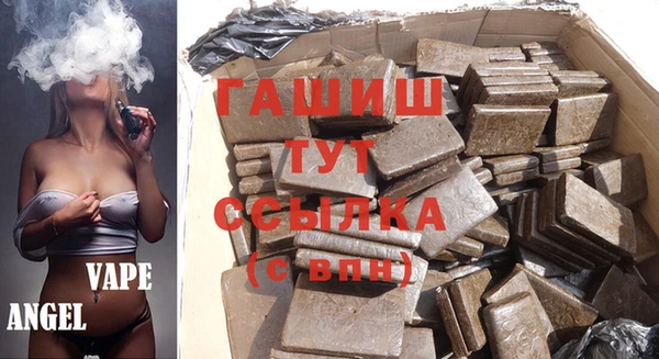 гидра Алексеевка