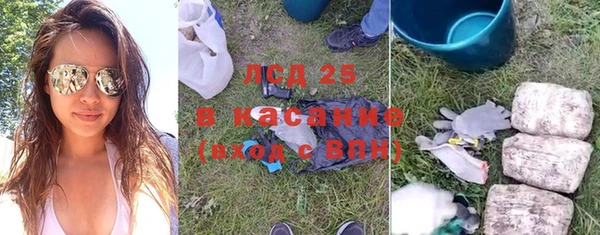 гидра Алексеевка