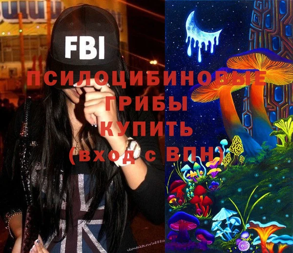 спайс Алексин