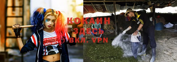 спайс Алексин