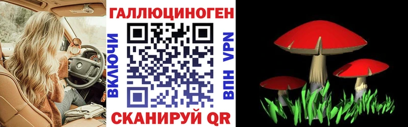 Псилоцибиновые грибы ЛСД  Пучеж 